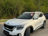 KIA SELTOS в Омскую область 5